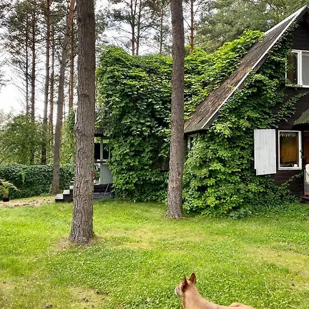 Dom Nad Jeziorem Дом отдыха